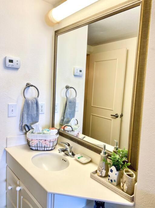 Spectacular Ocean View Apartman Daytona Beach Kültér fotó